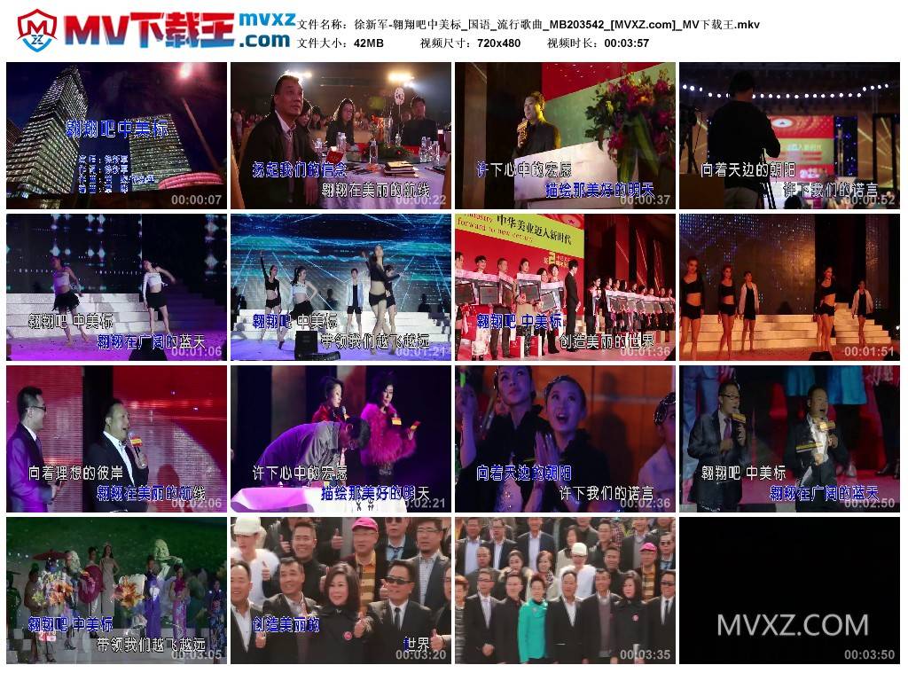 徐新军-翱翔吧中美标_国语_流行歌曲_MB203542